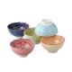 Set de 5 bols à riz japonais colorés