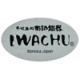 Théière japonaise en fonte NASHI de la marque Iwachu
